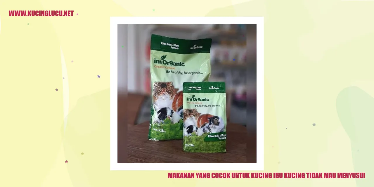 Makanan yang Cocok untuk Kucing ibu kucing tidak mau menyusui