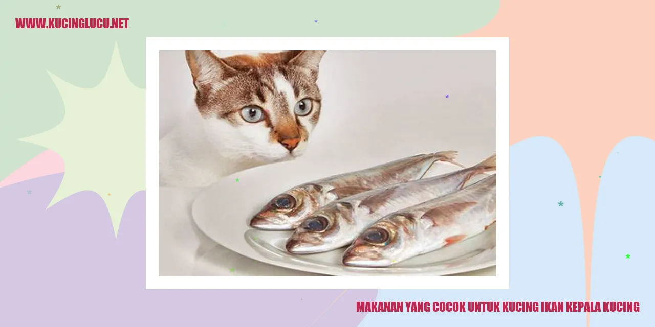 Ikan Kepala Kucing