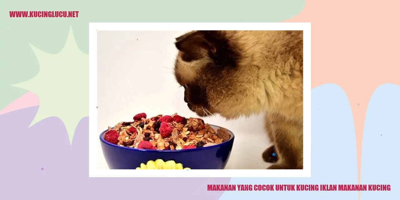 Makanan yang Cocok untuk Kucing