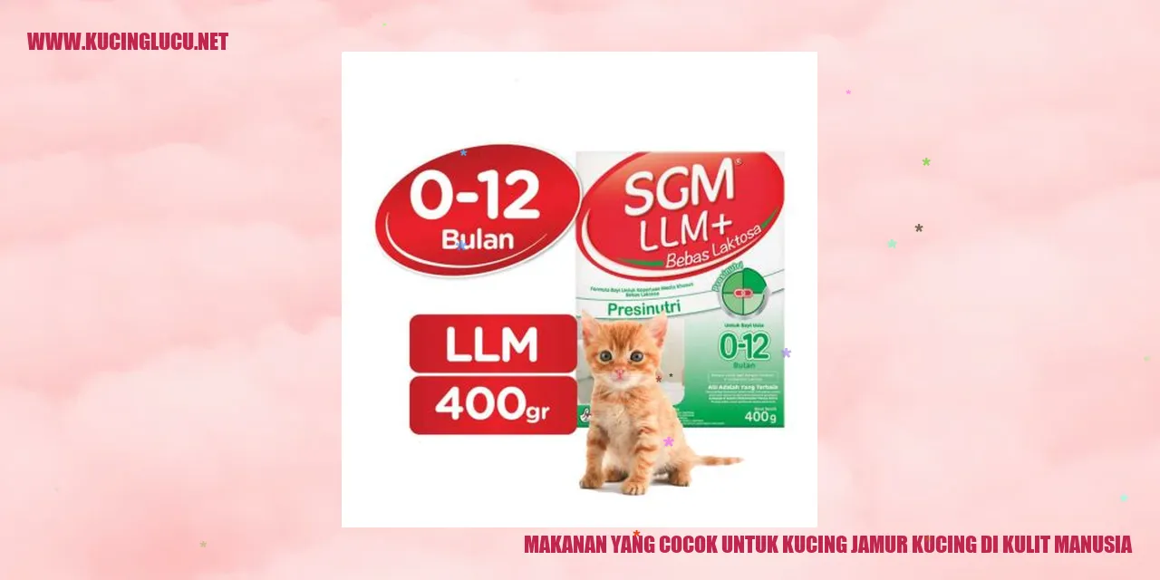 Jamur kucing di kulit manusia