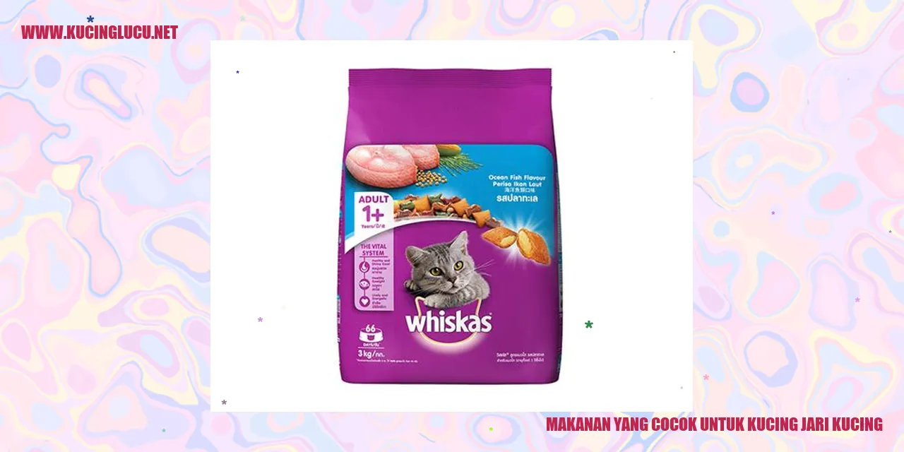 Kucing Jari Kucing