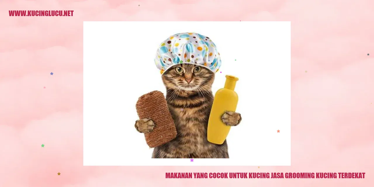 Makanan Kucing