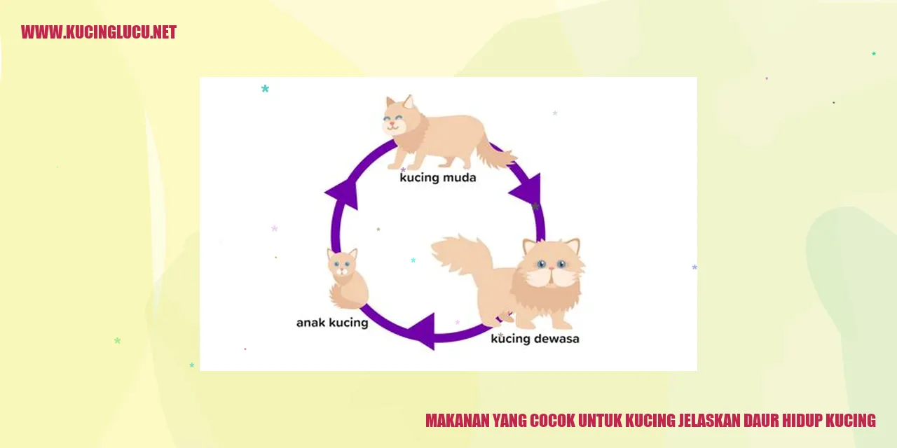 gambar kucing terkait