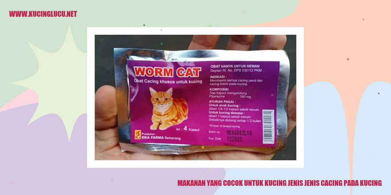 gambar kucing