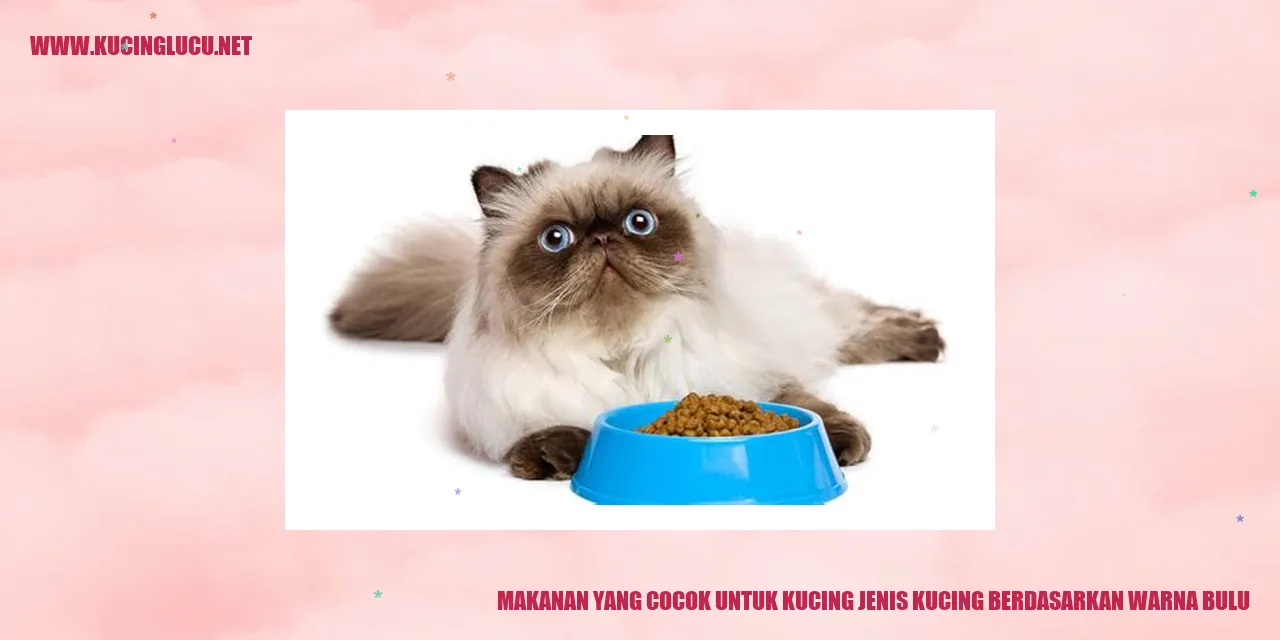 Makanan untuk Kucing Berdasarkan Warna Bulu