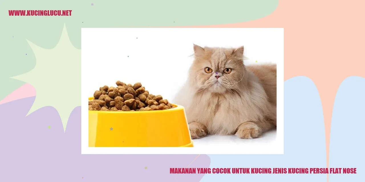 Makanan bagi kucing jenis Persia Flat Nose