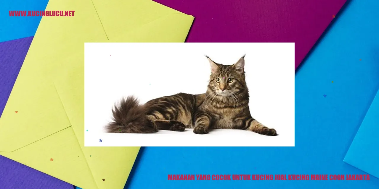Kucing Maine Coon