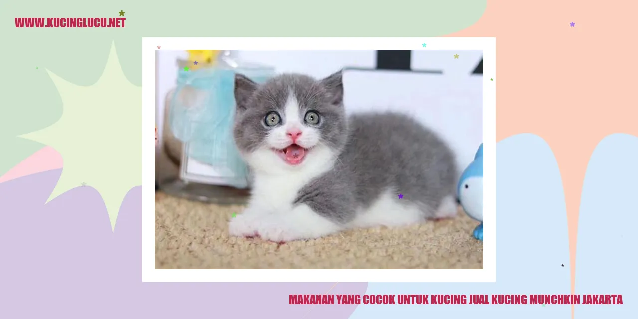 Makanan yang Cocok untuk Kucing