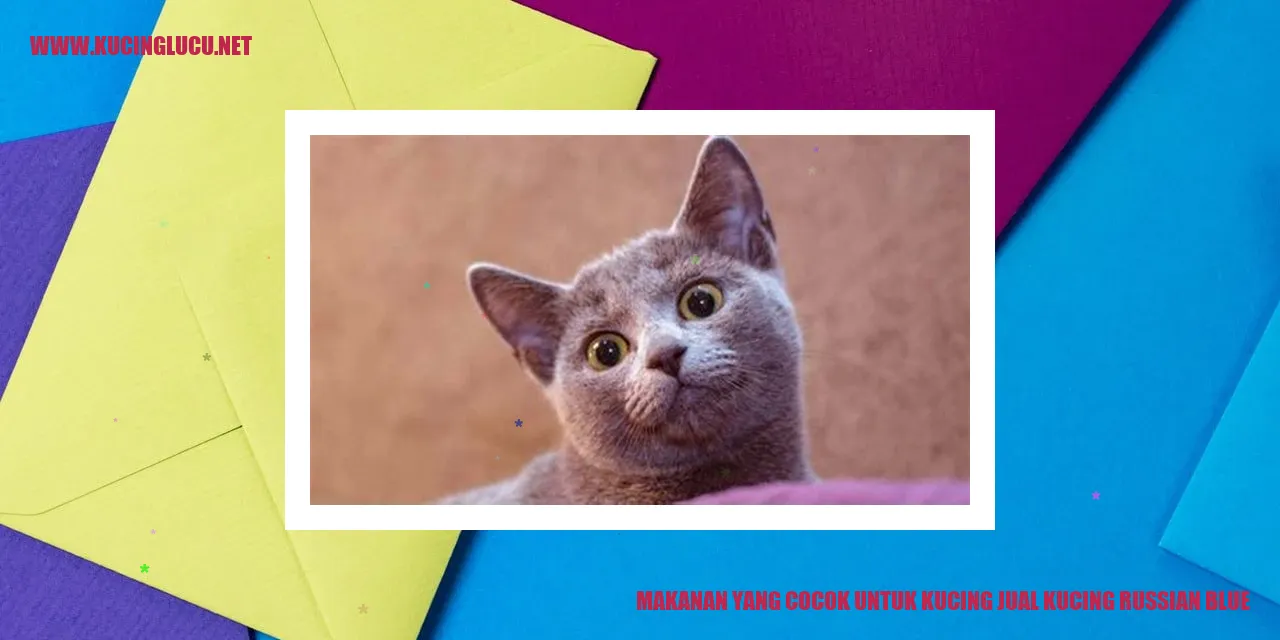 Makanan yang Cocok untuk Kucing