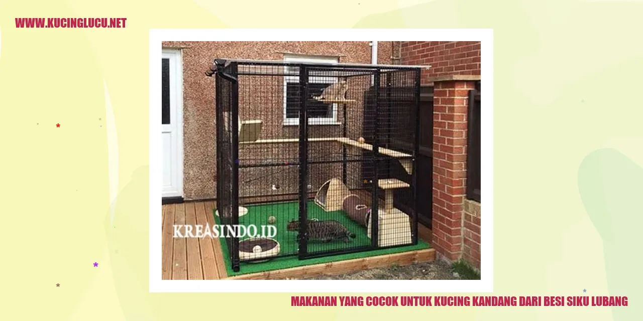 Makanan yang Cocok untuk Kucing Kandang