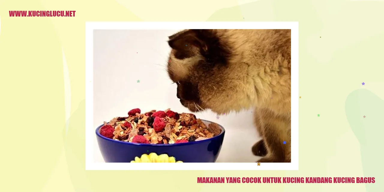 Makanan yang Cocok untuk Kucing