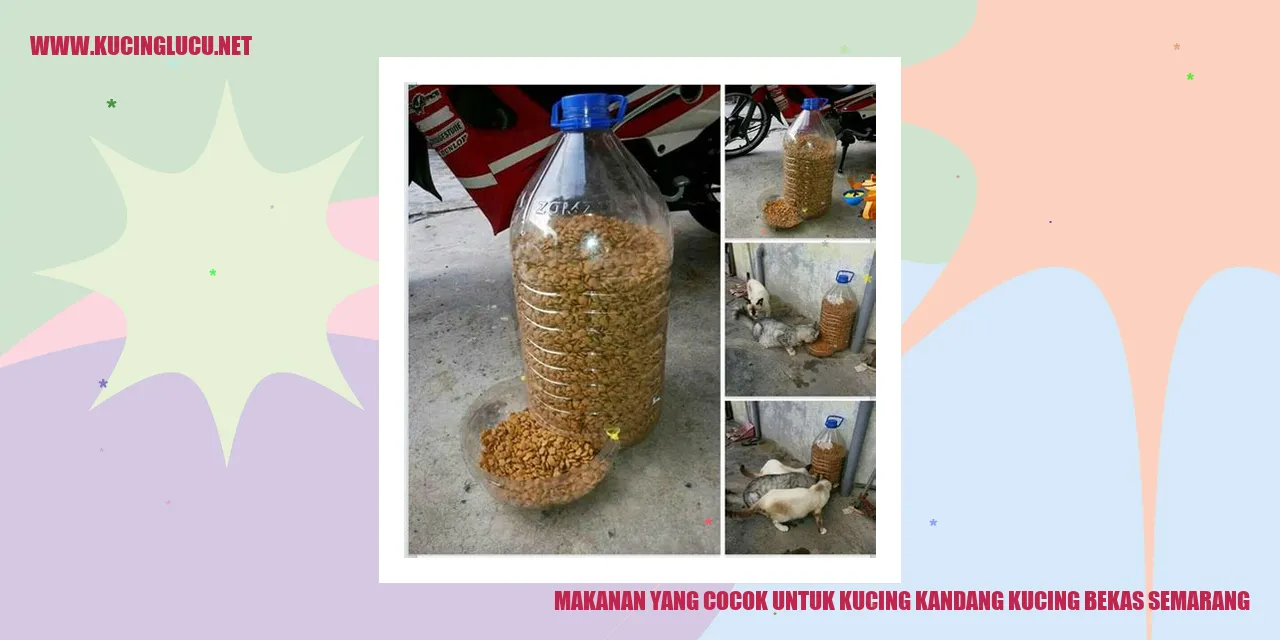 Ilustrasi Kucing