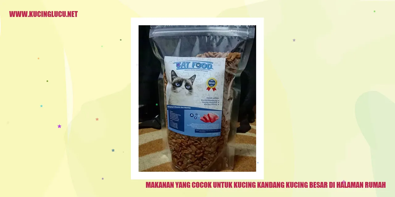 Makanan yang Cocok untuk Kucing di Halaman Rumah