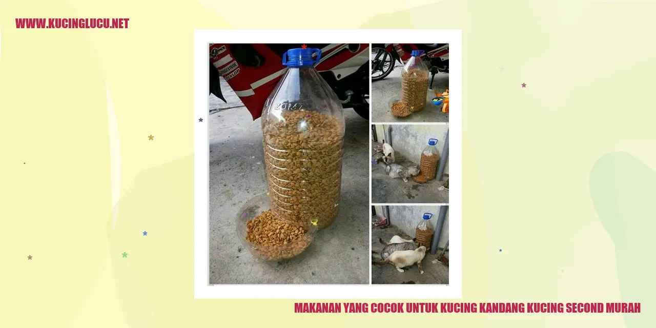 gambar kucing