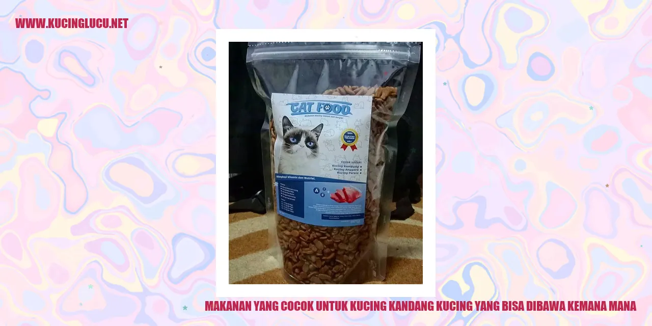 Makanan Kucing yang Cocok
