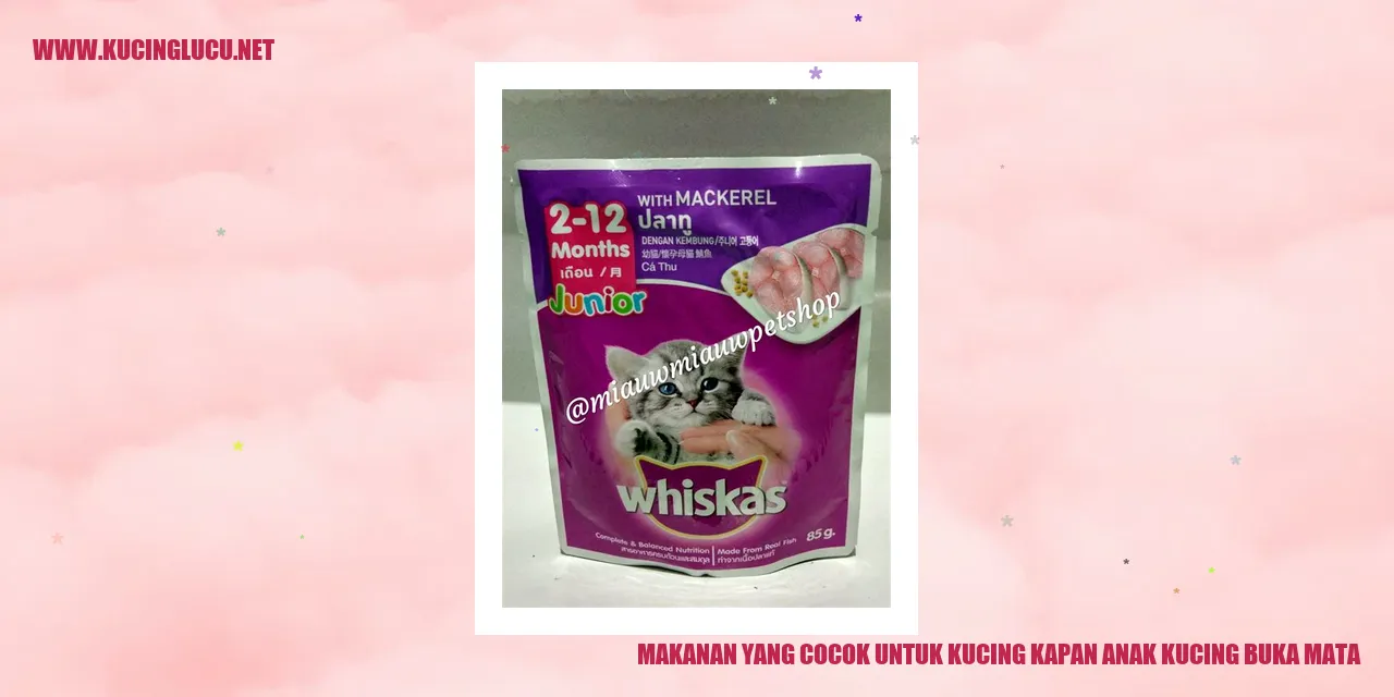Makanan yang Cocok untuk Kucing