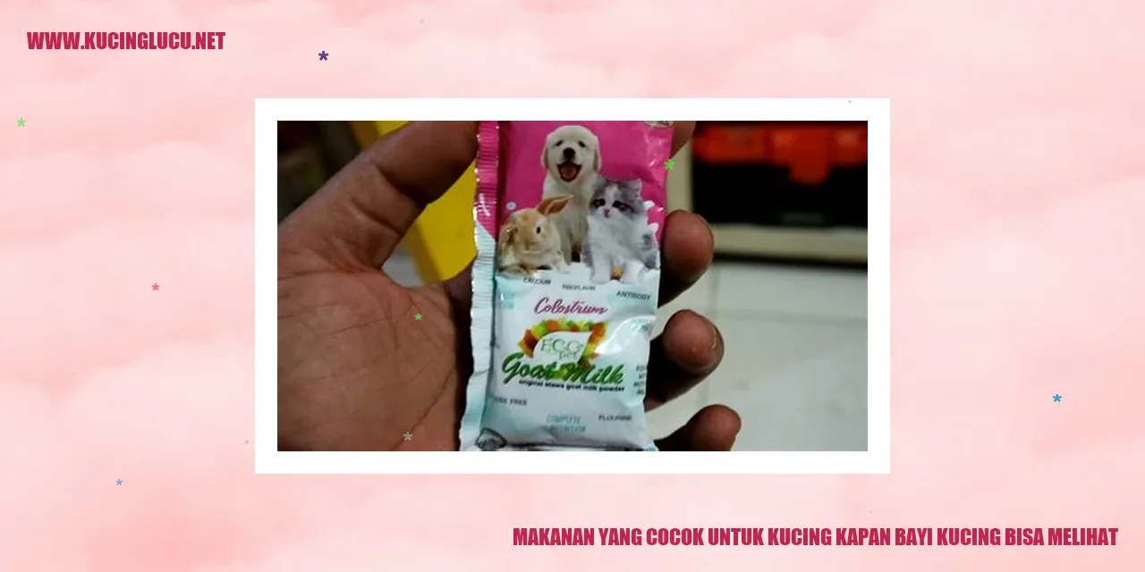gambar kucing