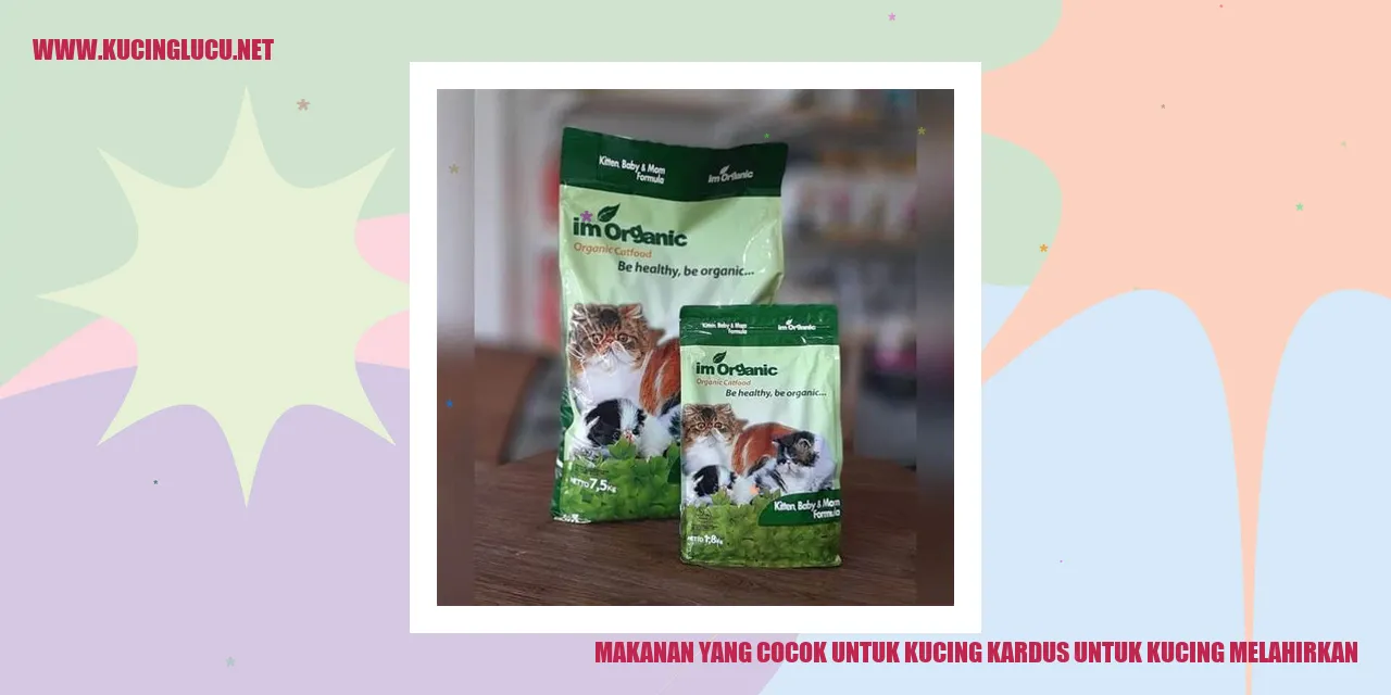 Makanan Kucing Kardus saat Melahirkan