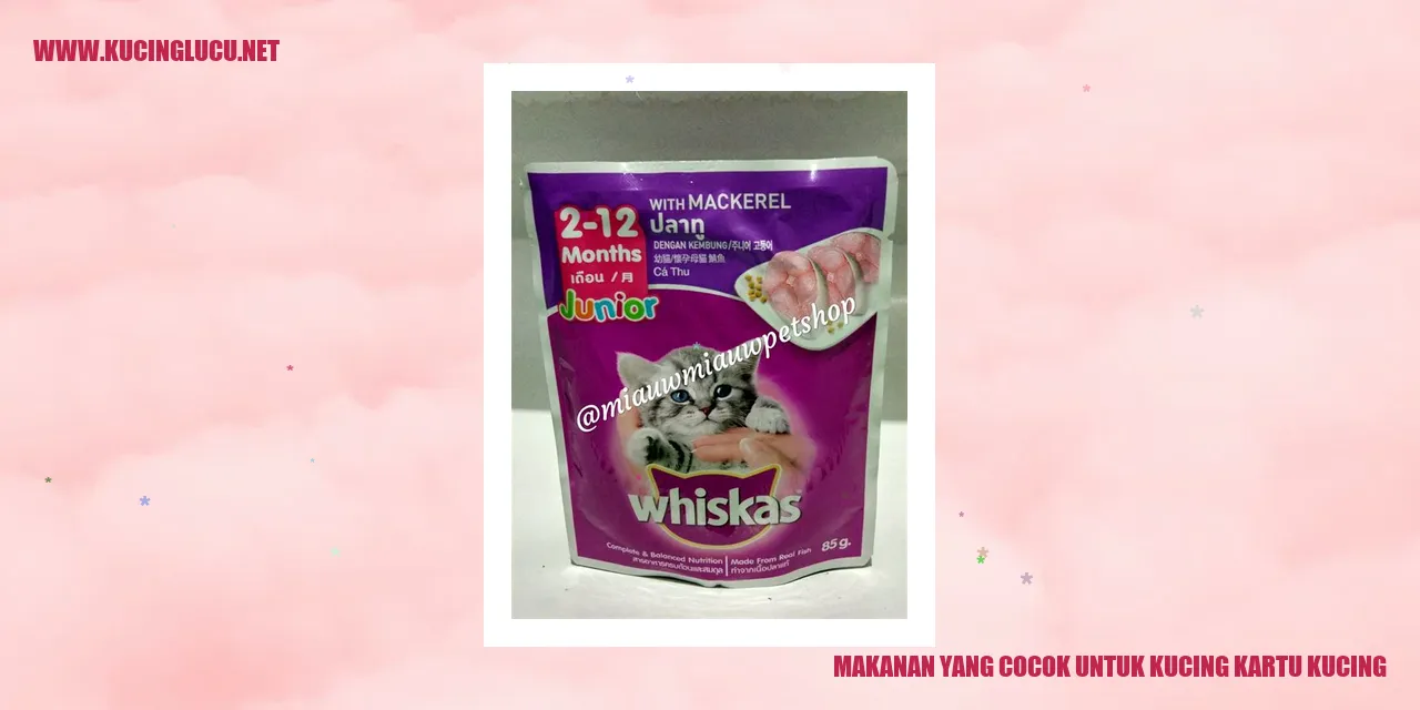 Ilustrasi Kucing dan Makanannya