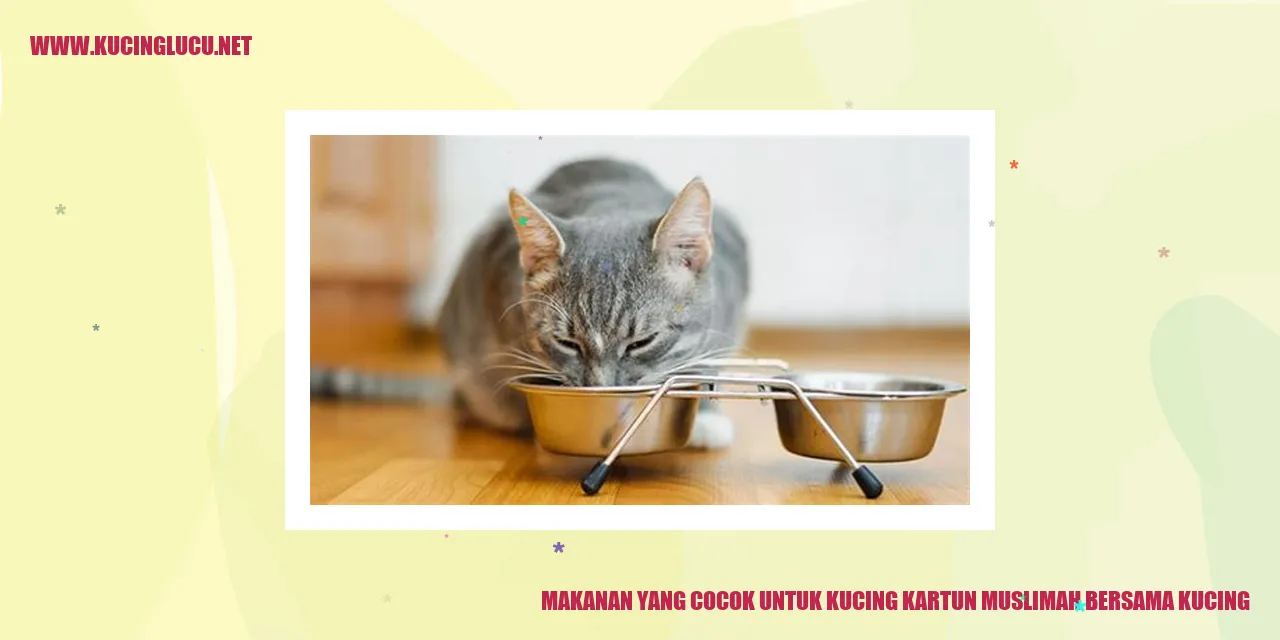 Kucing kartun muslimah bersama kucing