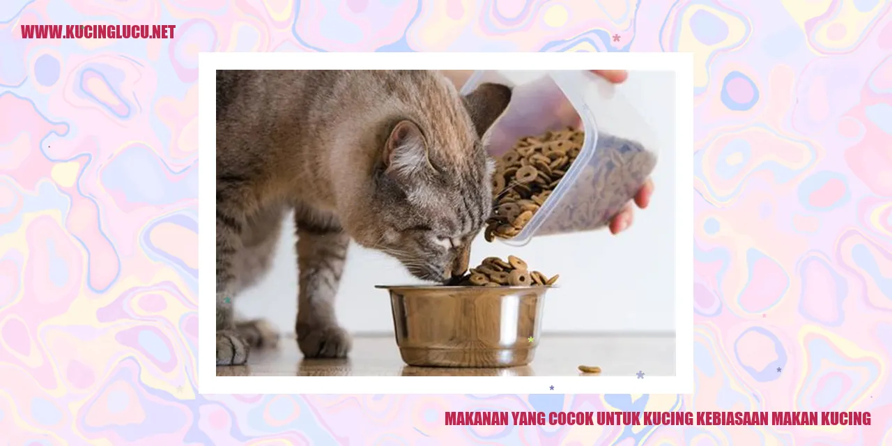 Kucing makan makanan