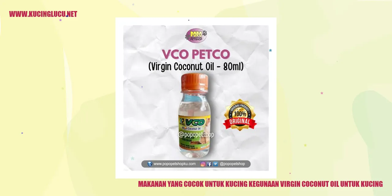 Makanan yang Cocok untuk Kucing