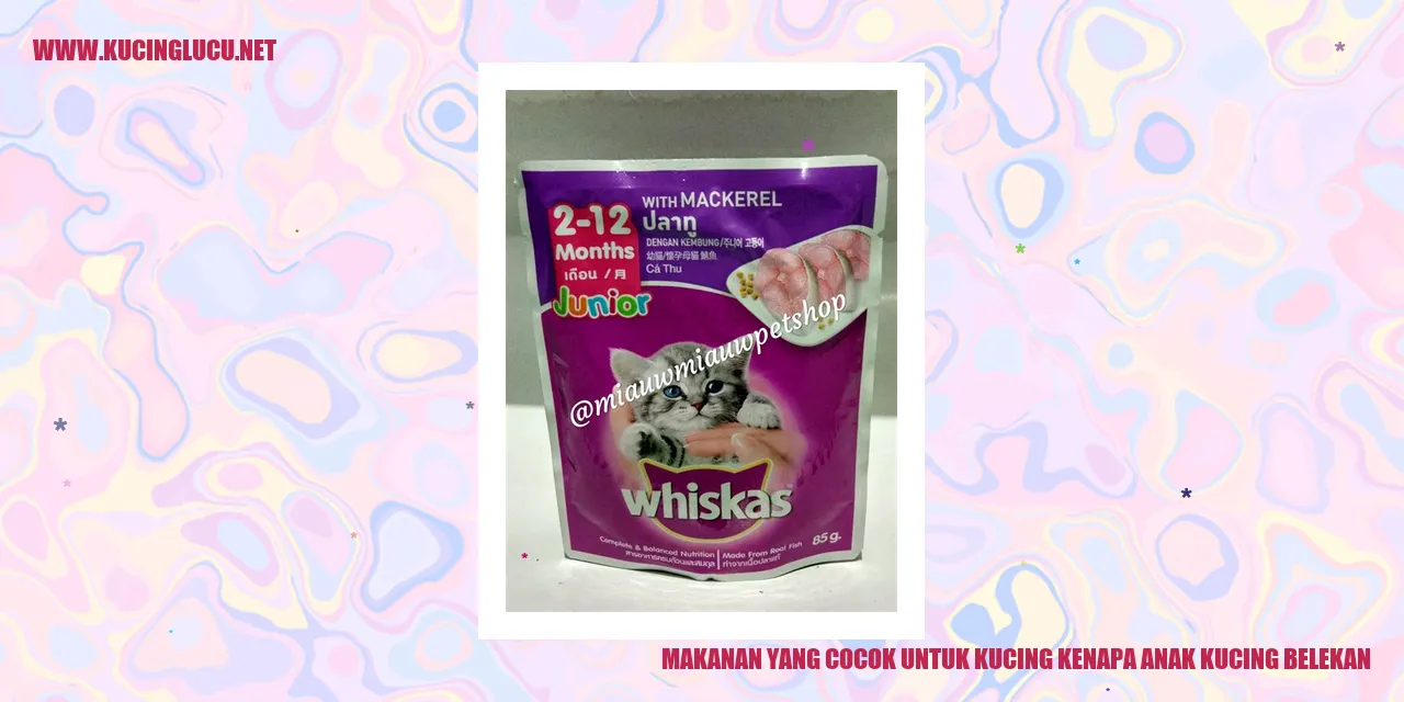 Makanan yang Cocok untuk Kucing