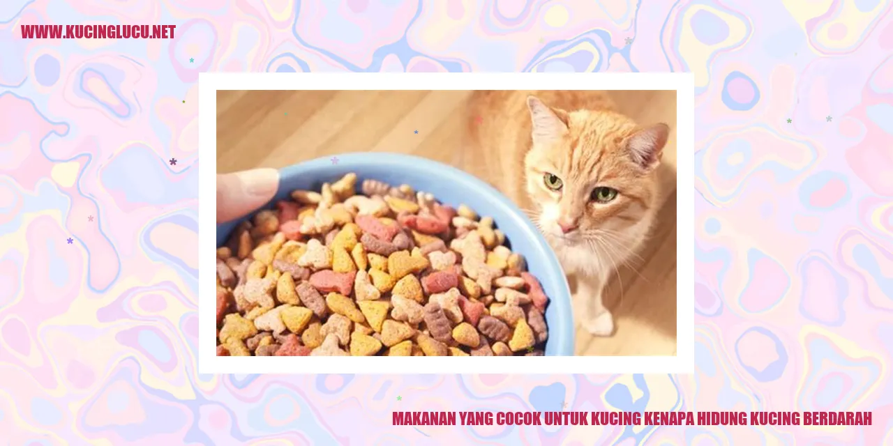 Gizi Kucing