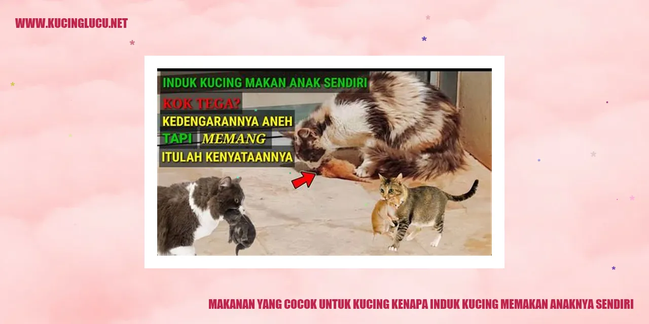Gambar Kucing yang Menelan Anaknya