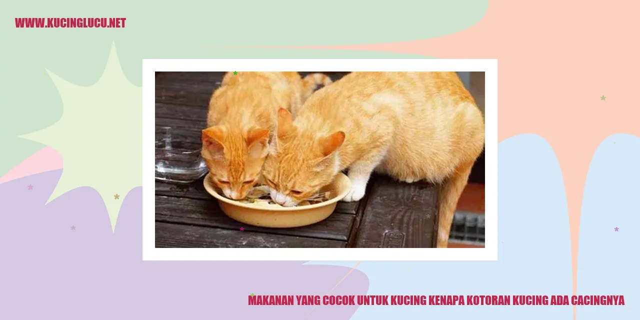Gambar Makanan Kucing