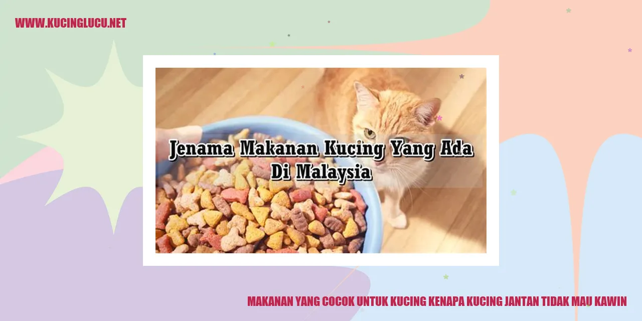 Makanan untuk Kucing