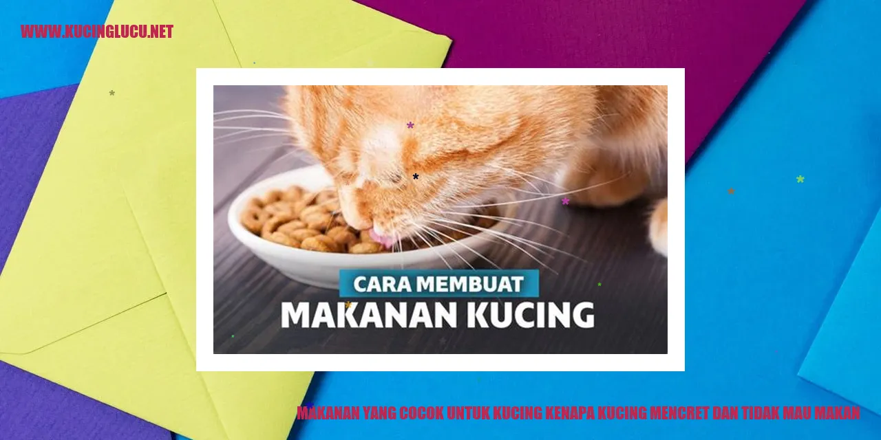 makanan kucing