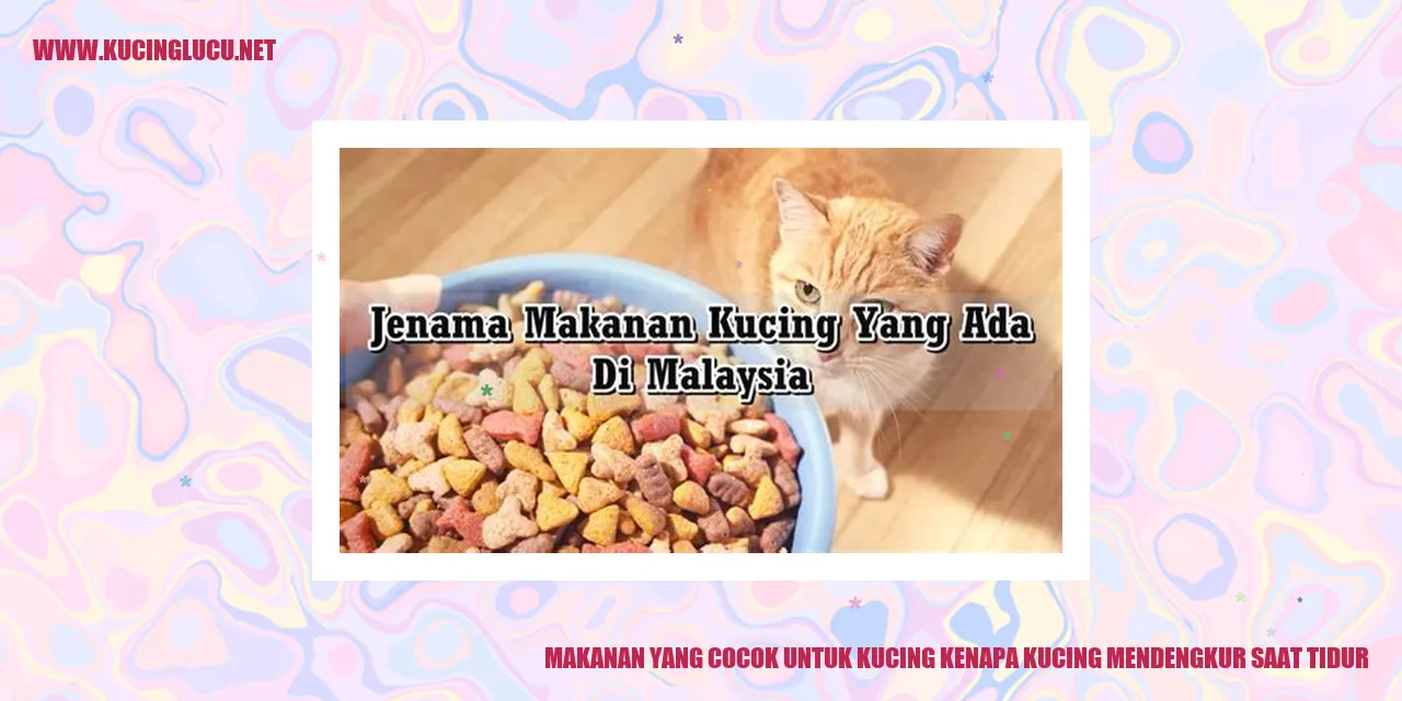 Gizi untuk Kucing