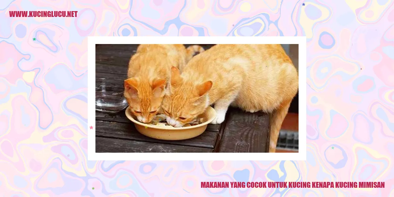gambar kucing dan makanannya