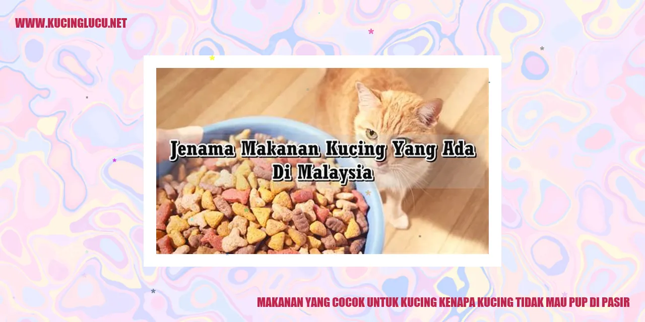gambar kucing