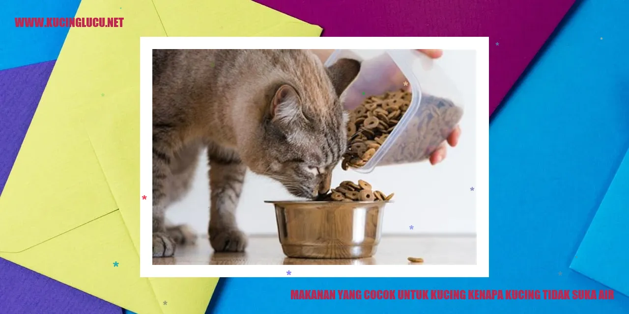 Makanan yang Cocok untuk Kucing