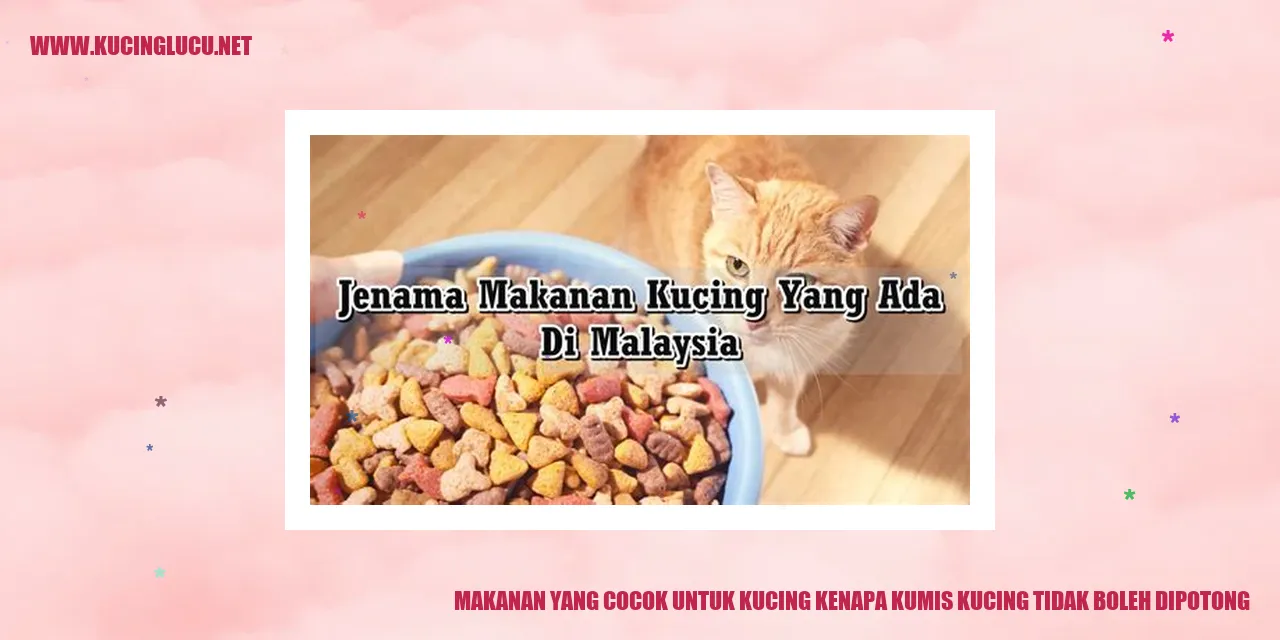 Gambar Kucing yang Lucu
