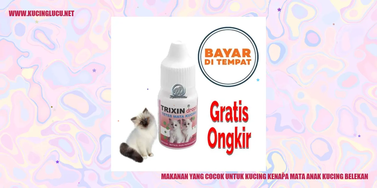 Makanan yang Cocok untuk Kucing kenapa mata anak kucing belekan
