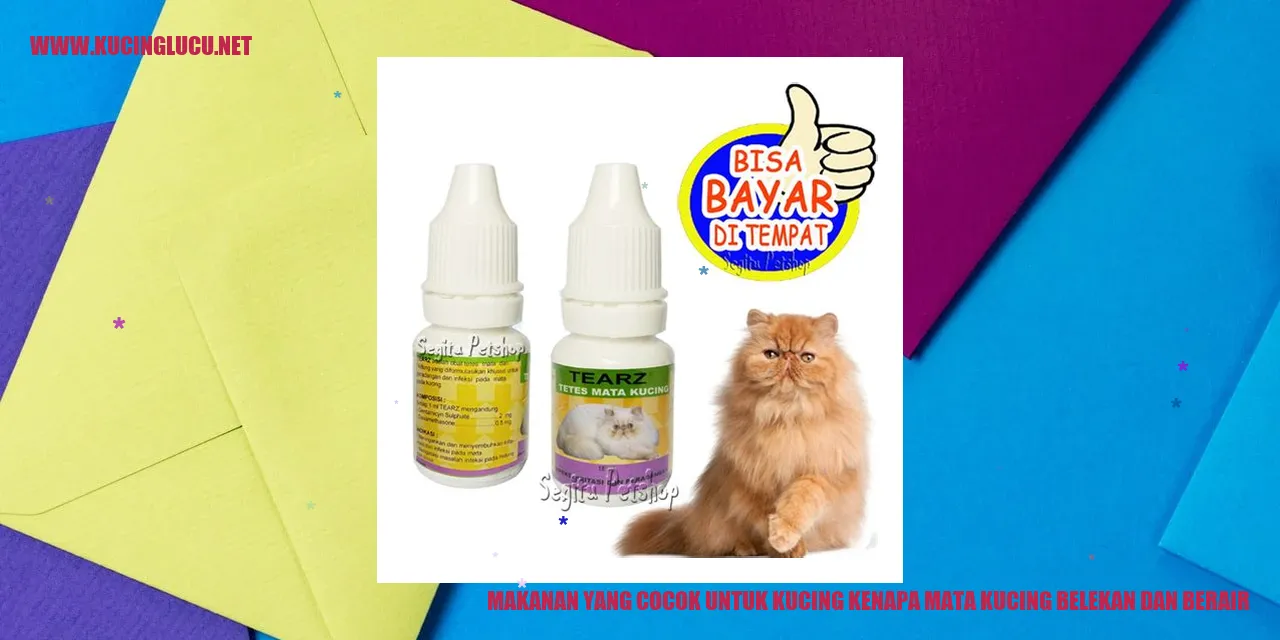 Makanan yang Cocok untuk Kucing kenapa mata kucing belekan dan berair