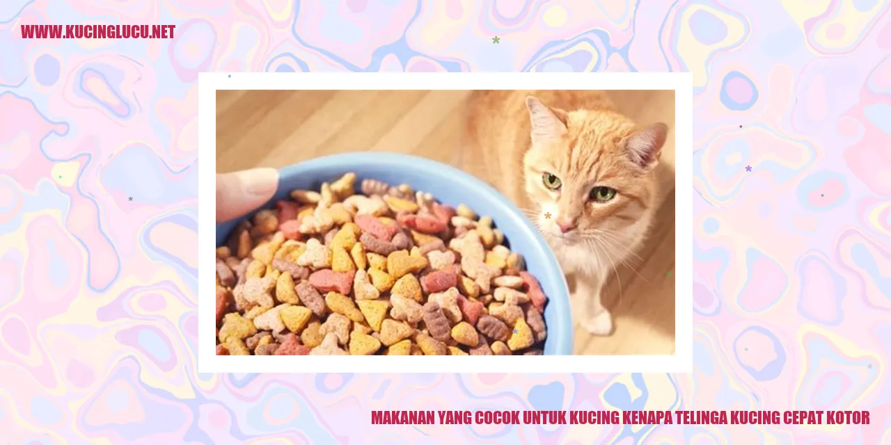 Gambar Kucing