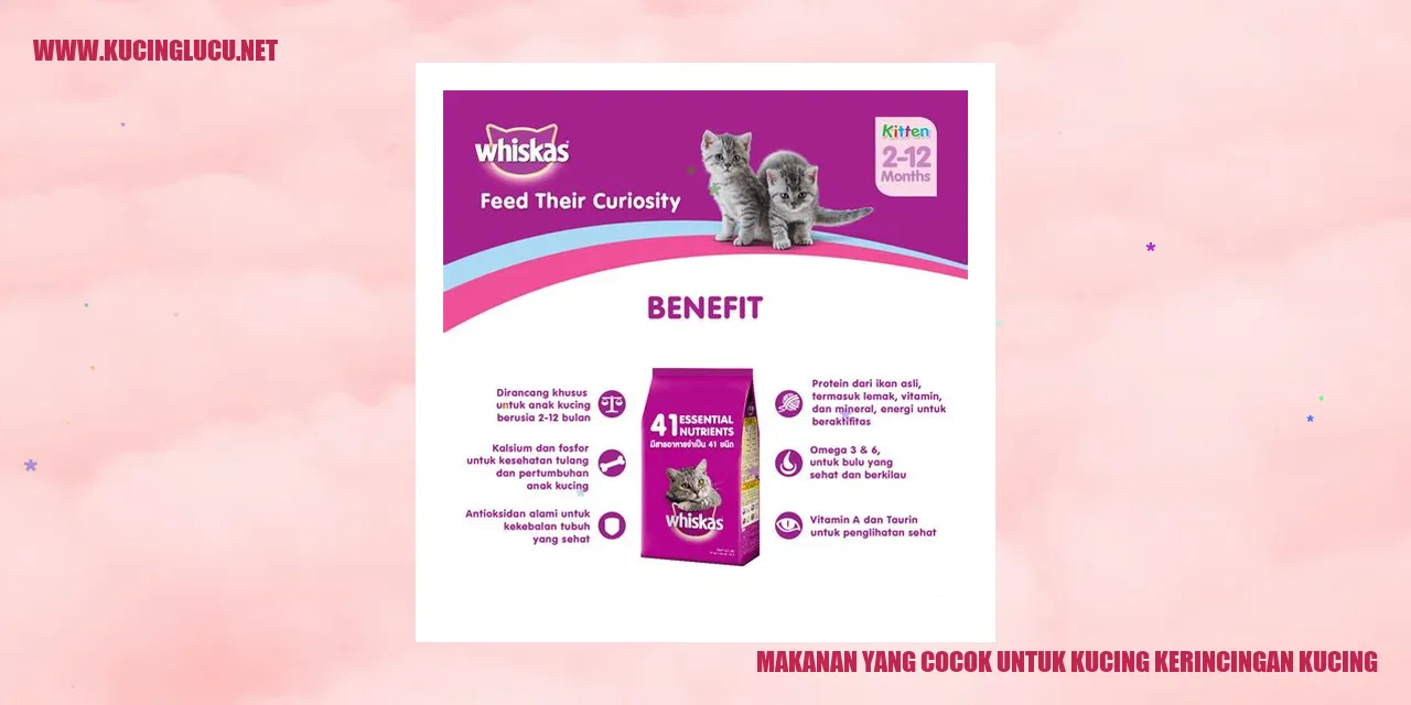 Gambar Kucing dengan Tubuh Kecil