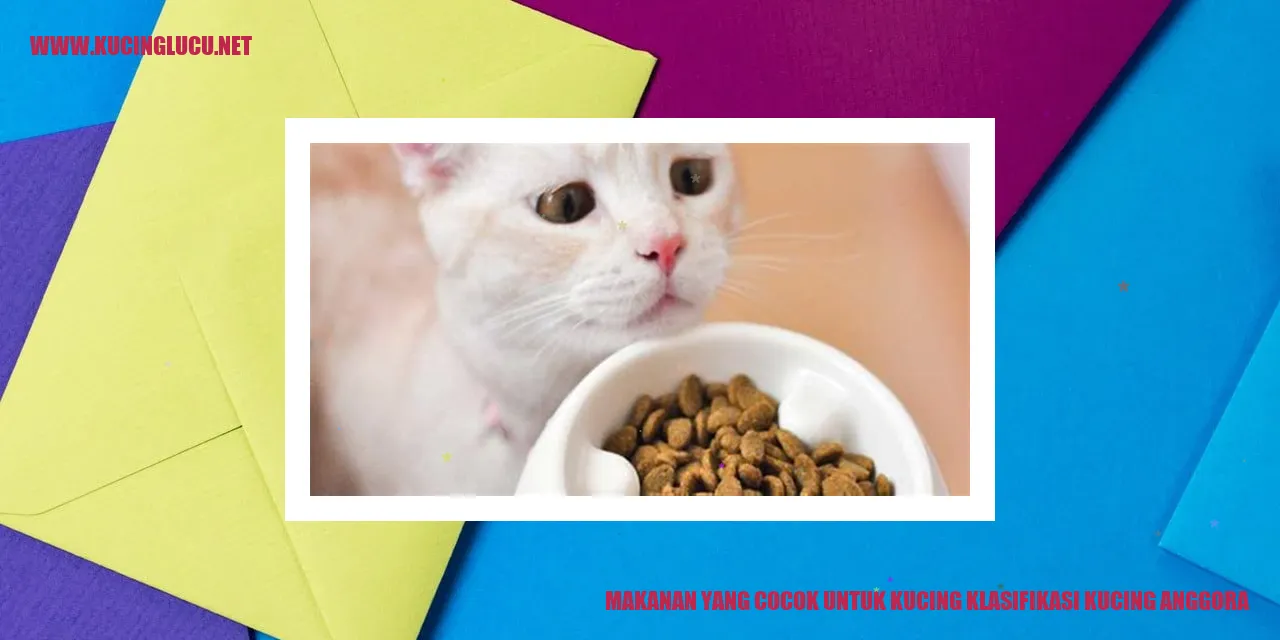 Makanan yang Cocok untuk Kucing Anggora