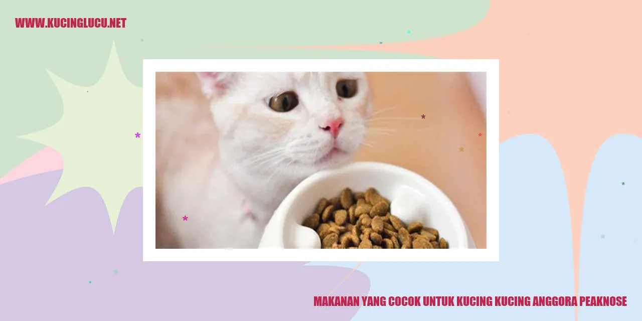Makanan yang Cocok untuk Kucing Anggora dan Peaknose