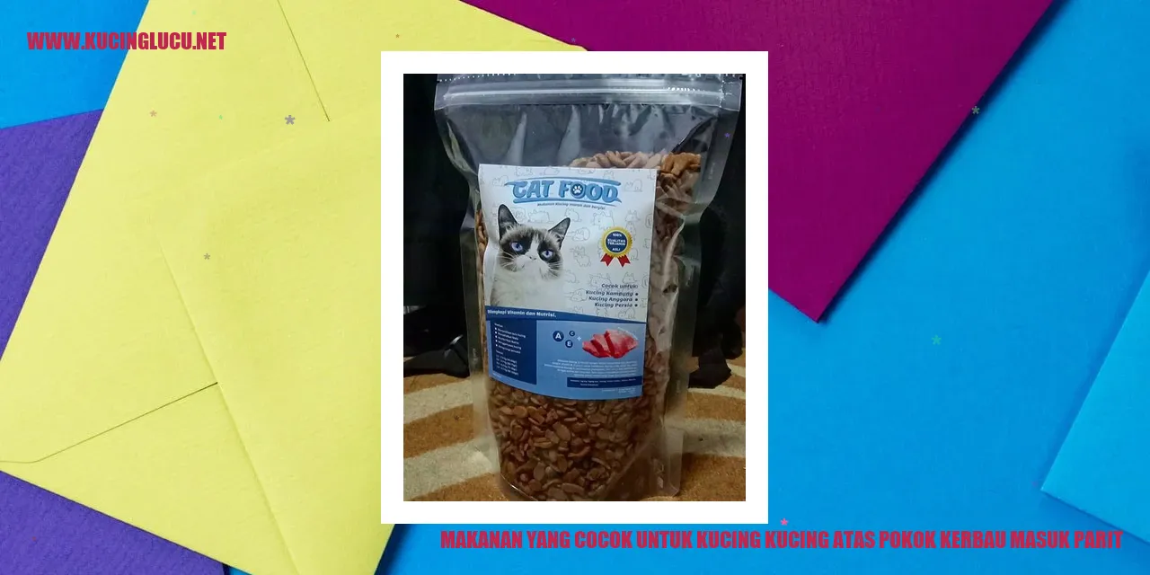 Gambar Makanan Kucing