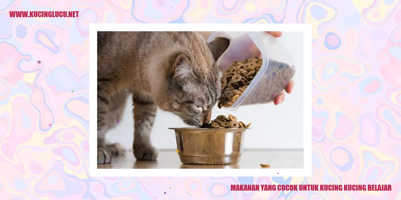 Gambar Makanan Kucing