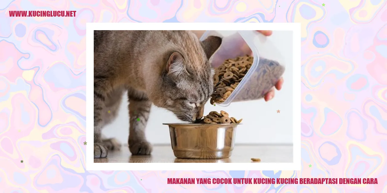 Kucing dan makanannya