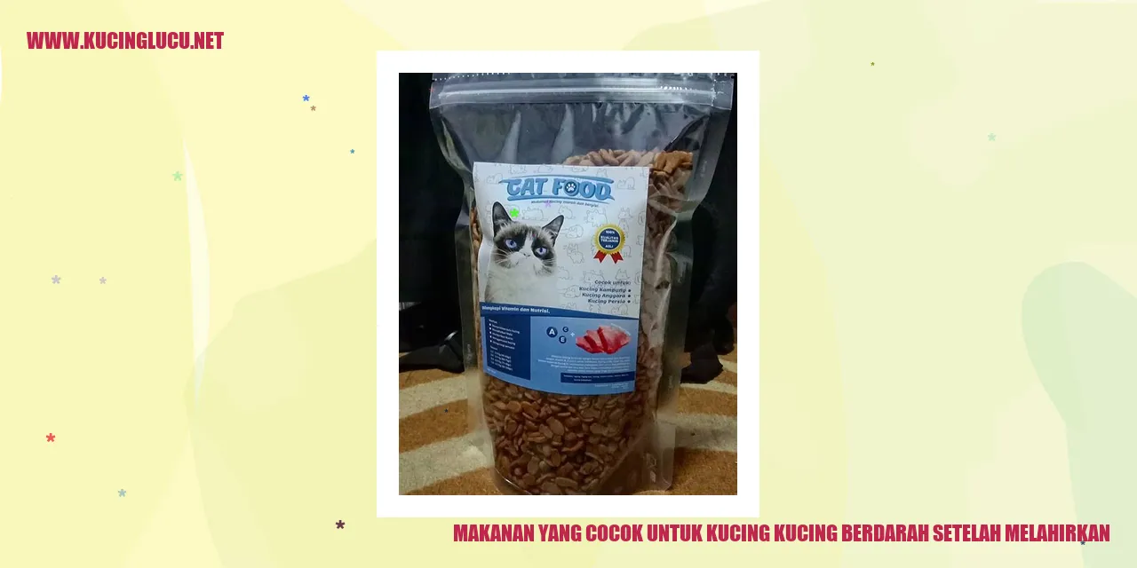 Makanan yang Cocok untuk Kucing yang Berdarah Setelah Melahirkan