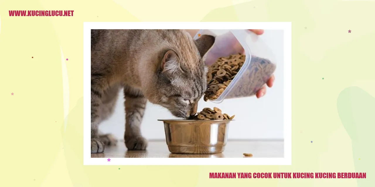 Makanan yang Sesuai untuk Kucing Kucing Duo Lucu