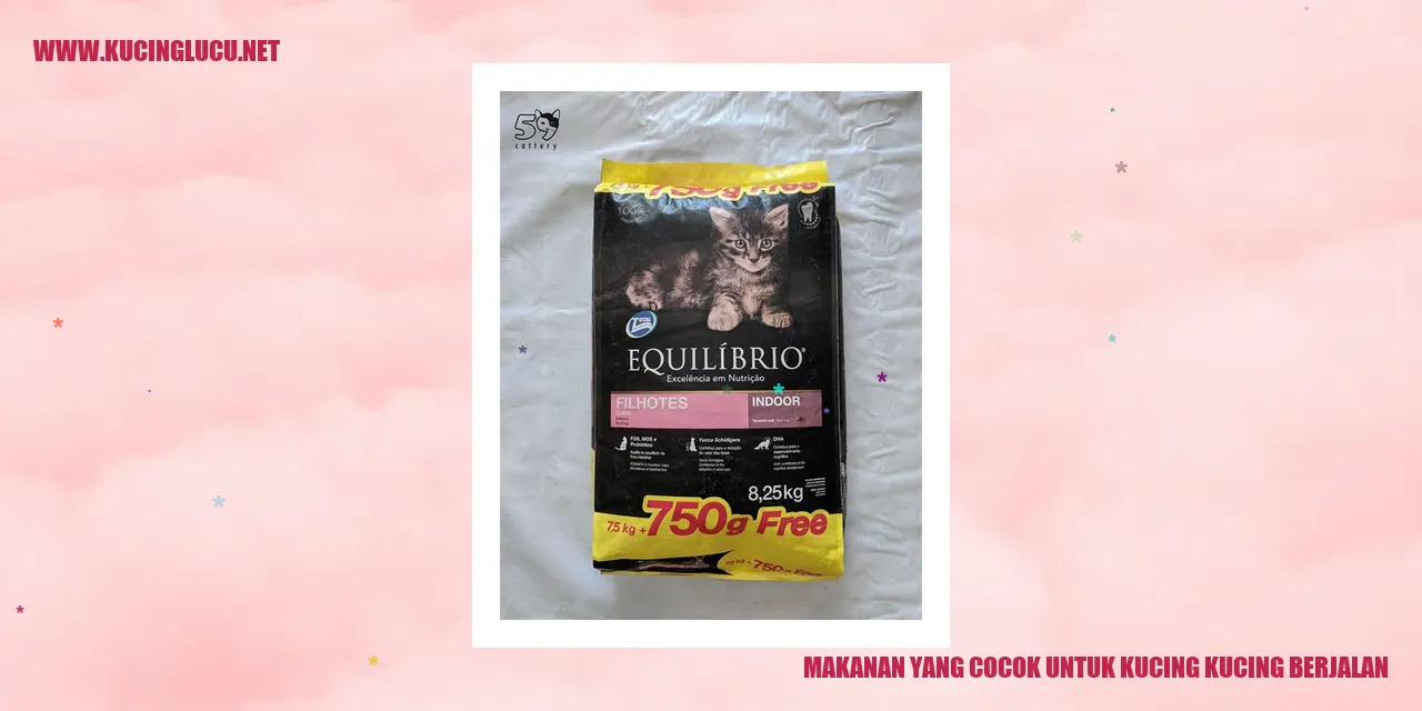 Makanan yang Cocok untuk Kucing yang Berjalan