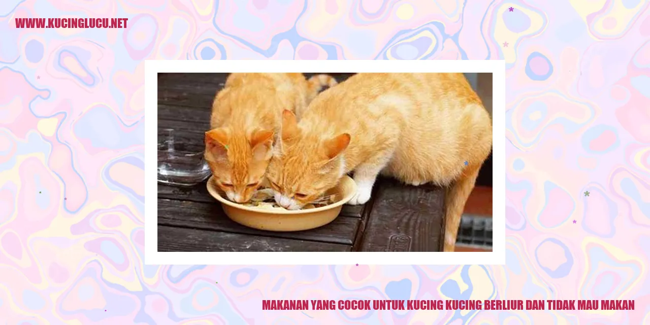 Makanan yang Cocok untuk Kucing